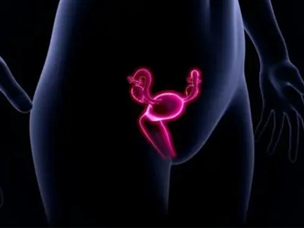 始基子宫与幼稚子宫相似不相同，从这三个方面教你区别