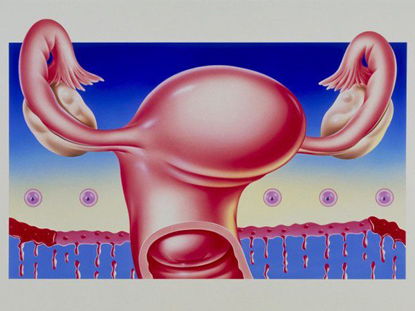 始基子宫也有办法能重新发育！合理使用激素仍有生育希望