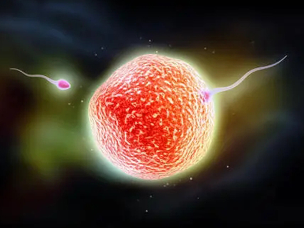 试管婴儿不是万能生育手段，遇到这三种情况也不会成功