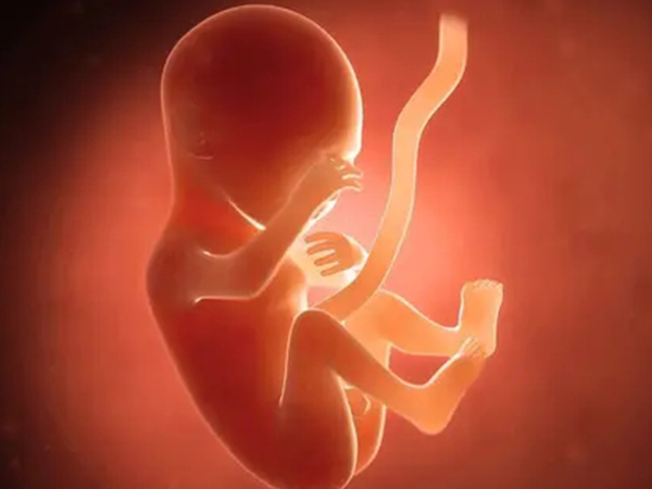 长方案降调的流程比你想象的难，每部分的用药时间都有讲究