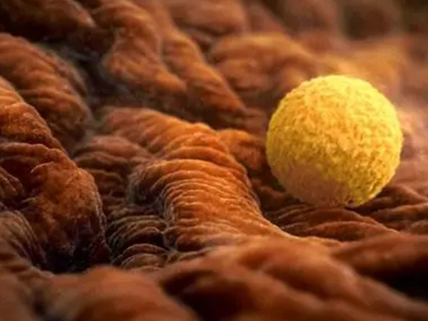 剖析长方案促排详细全流程，降调促排协作省烦恼