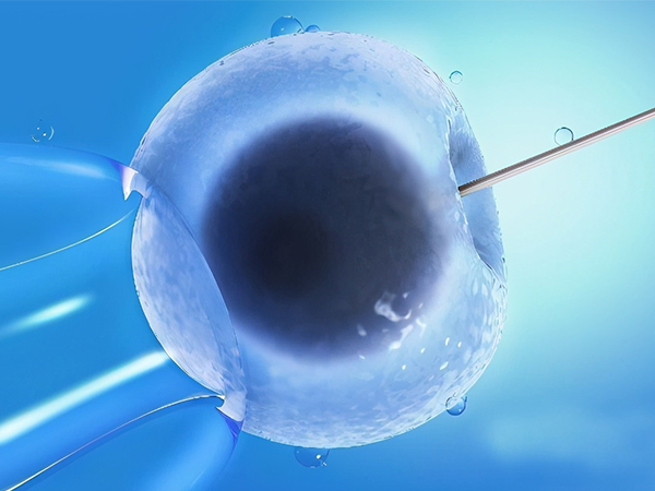 2022上海试管婴儿费用没那么贵，这样的花费明细承担得起