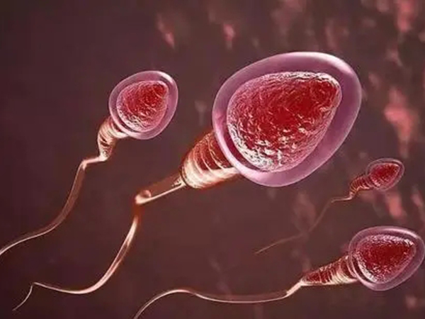 2022二代试管婴儿收费价目表：全套下来不超5万元