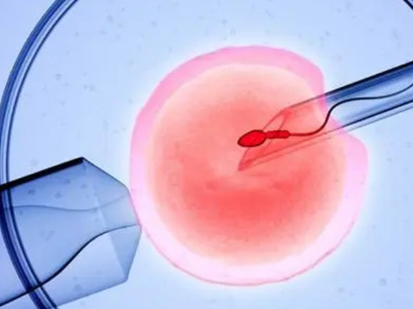 两方面认清短方案和拮抗剂的区别，适用人群、操作步骤均不同