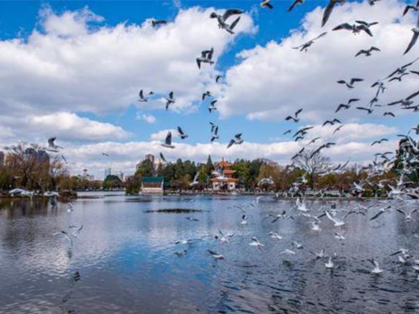 2022昆明试管婴儿医院排名，助孕成功率、费用完整攻略