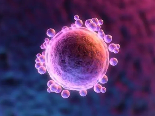 黄体期促排卵成功案例分享， 成功率高不高过来人最懂