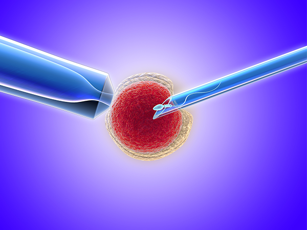 49岁试管成功双胞胎经验：看绝境妈妈如何逆风翻盘