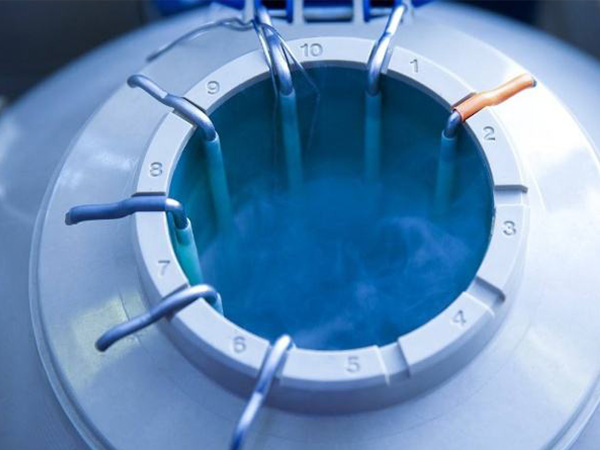 冻胚着床为啥需要10天有答案了，11天白板居然也能成功