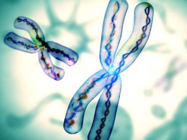 成功怀上女孩的经验分享，这些生女儿秘方可别错过