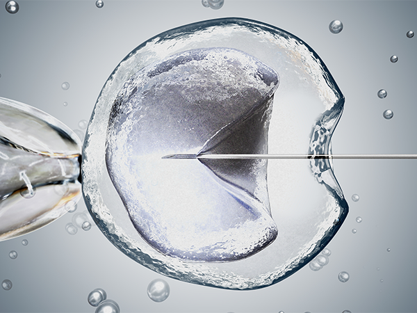 2022美国供精试管流程全剖析，想生下混血宝宝也不难