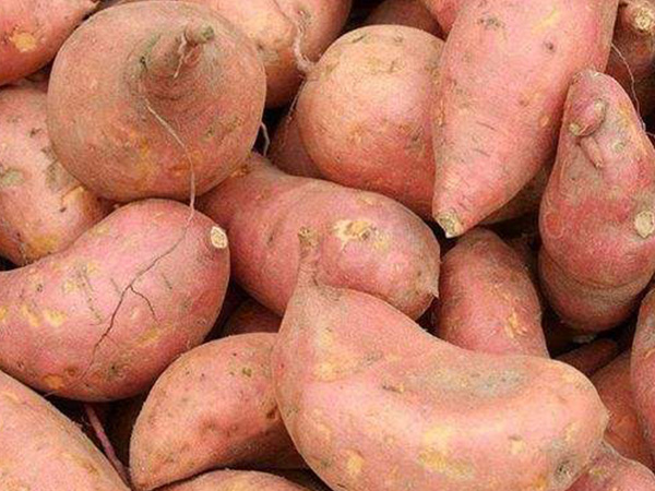 1-3月长胎食物排行榜，红薯、榴莲当属补胎之王