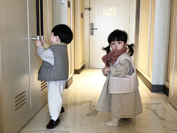 2022年这些生肖会生龙凤胎，属鸡、羊的妈妈有福了