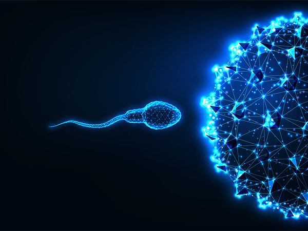 一卵多精终于找到是谁的原因了，可别怪在卵子质量上了