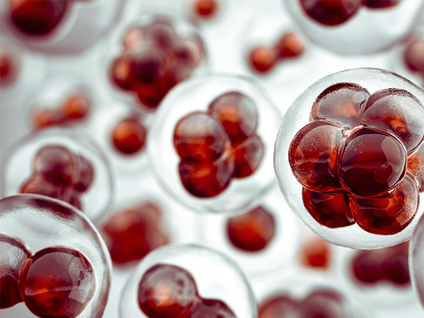 ppos方案不止可以提高卵子质量，选它还有这三大优点