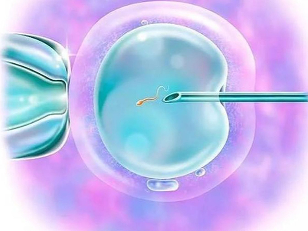 移植前内膜转化变薄别妄动，教你三个方法迅速补救