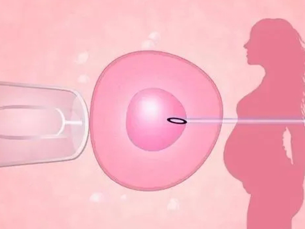 37岁试管双胎有这些情况必须减胎，有病史的妈妈要注意了