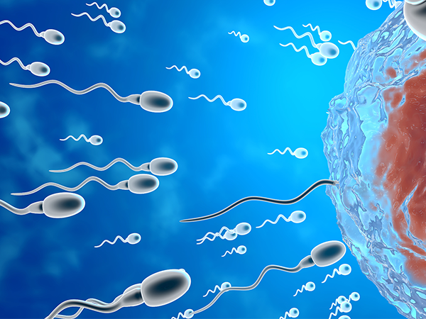 公认怀女儿的五大有效方法，这些酸性食物一定得收藏