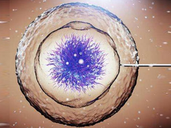 2022乌克兰试管双胞胎全攻略，费用、成功率一次说清