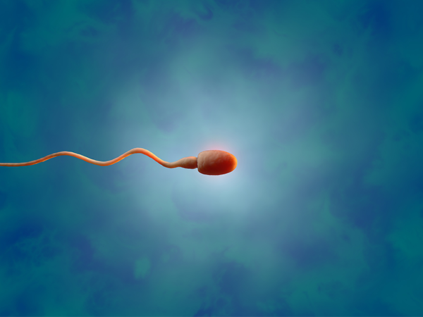 全国这27家医院均可以做供精，广东、北京一文囊括