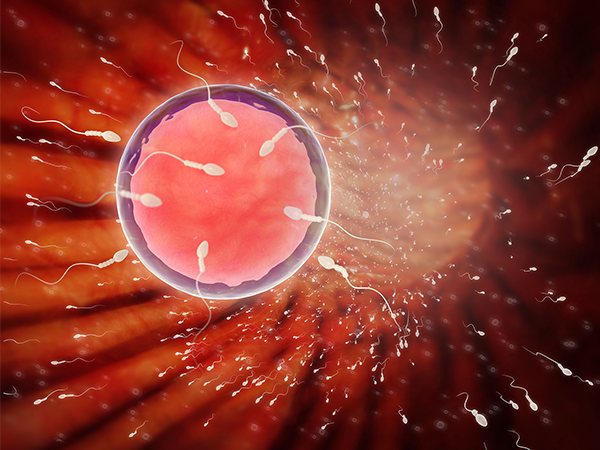 深扒三甲医院一代试管的成功率，50%真不是难事