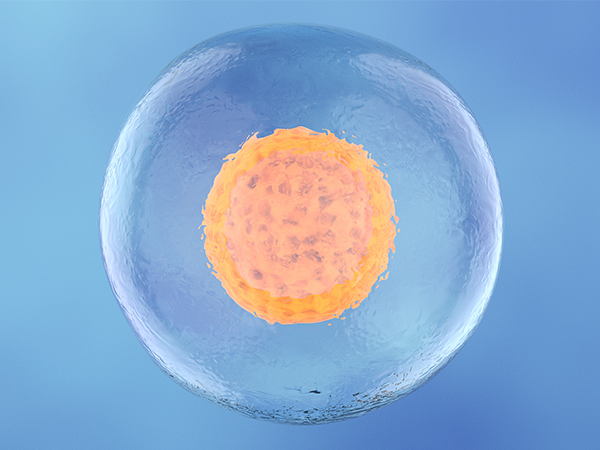 乌克兰试管婴儿促排卵方案详解，不同人群适用方案也不同