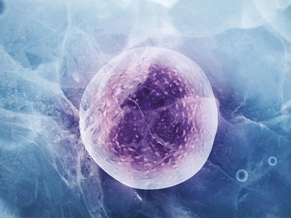 国内冷冻卵子的条件和费用一文整理，你想知道的这里都有