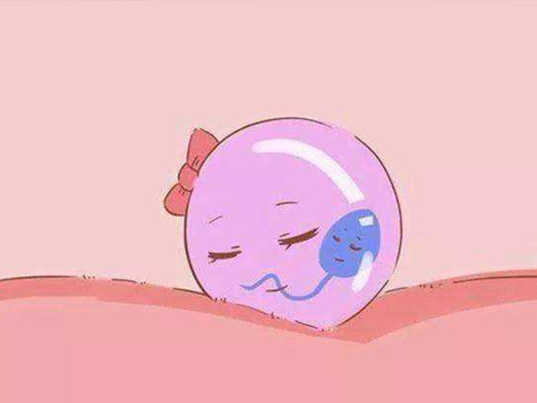 子宫内膜6mm试管成功案例分享，这些调理厚度的技巧请收好