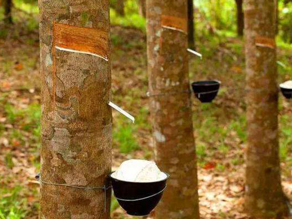 奶嘴选硅胶还是橡胶？读懂二者区别不再纠结