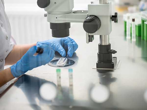 为啥都想做俄罗斯混血试管婴儿？有这些优势自然更值得选