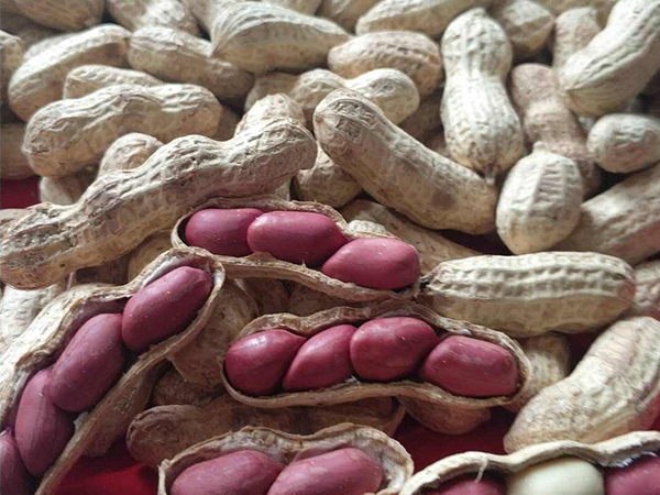 熟花生下奶太有效了！这些让奶水变多的偏方赶紧记下