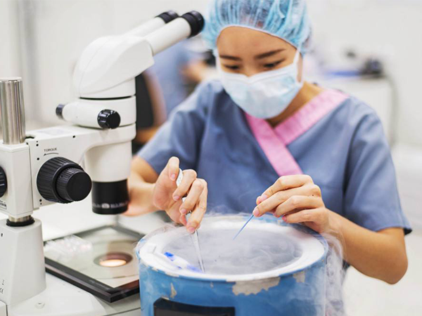 冻胚移植前要满足的五大指标，数值达最佳标准更易成功