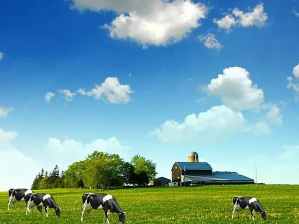 君乐宝和飞鹤奶粉强强对比，看完奶源、配方就知哪个好