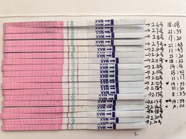 排卵前生男孩的真实例子分享，强阳转弱再怀男宝就迟了