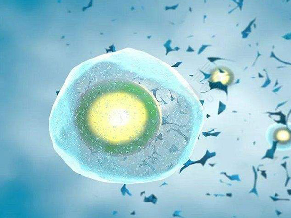 鲜胚移植第二天有姨妈感觉属正常，这些才是判断着床的依据