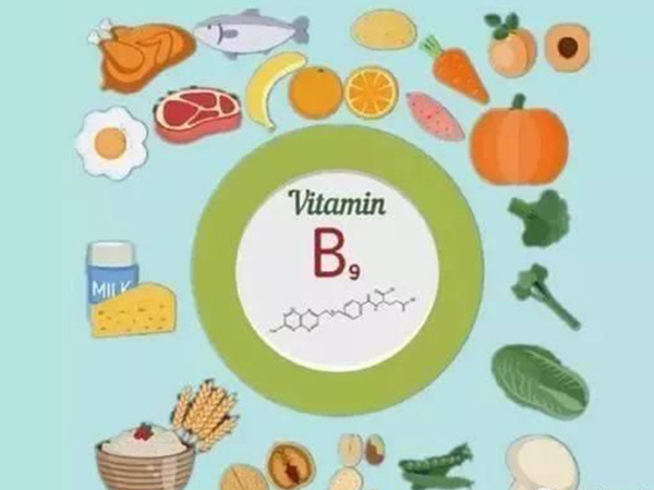 补叶酸的十种最佳食物：照这份蔬菜排行榜吃准没错