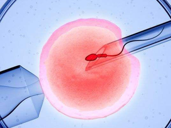 2022美国试管婴儿中心排行榜：HRC、CCRH名列前茅