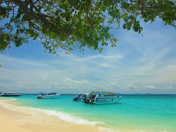 2022泰国供卵生子费用明细，生个混血宝宝也没那么贵