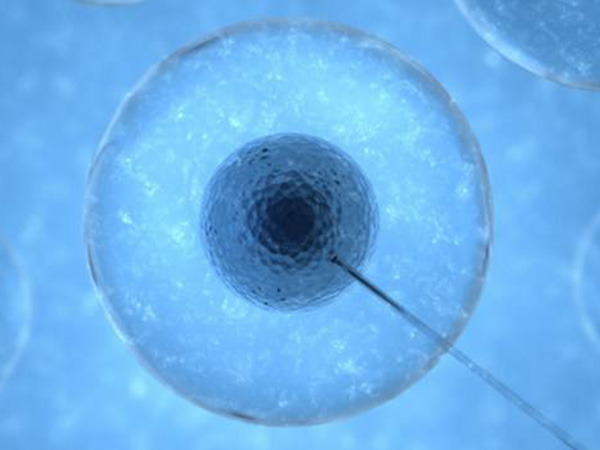 移植后真不能摸肚子和胸，影响着床的傻事千万别做