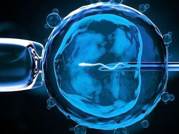 这三种情况下用拮抗剂方案促排更好，amh高的女性有福了