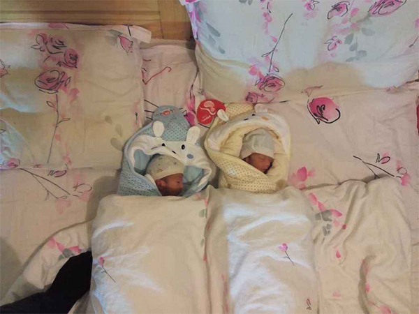 2022年容易生龙凤胎的生肖女：亥猪、卯兔注定儿女双全