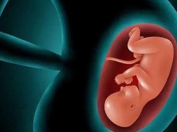 供卵试管对子宫的三点要求，内膜厚度不够标准真做不了