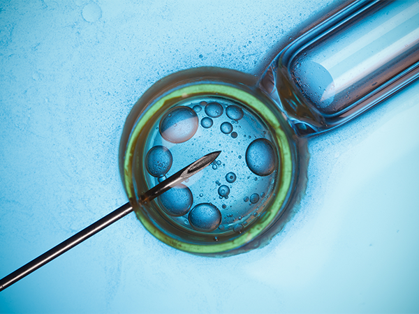 高龄试管婴儿真容易畸形，选择胚胎筛查刻不容缓