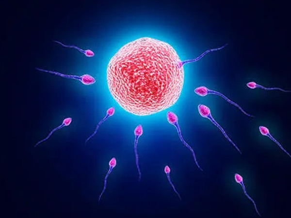 50岁借卵试管成功案例分享，提升移植成功率真没那么难