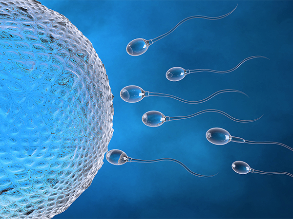 一代和二代试管的收费项目对比，终于知道价格差在哪里了