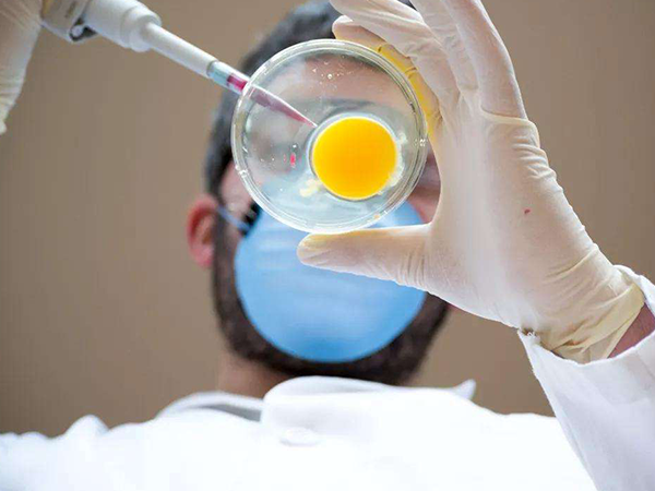 年纪大了做试管也难成功，三大条件不达标成功率自然低