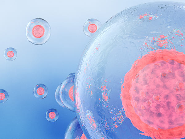 质量好的囊胚也会生化的三大原因，子宫环境或有大问题