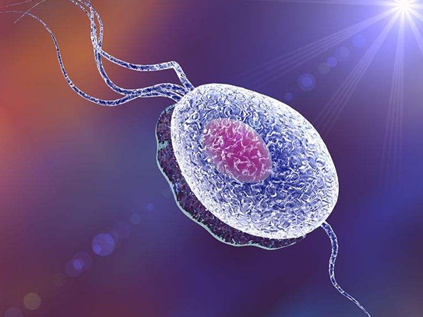 精子dna碎片率高也能治好，三种改善方法让它降下来