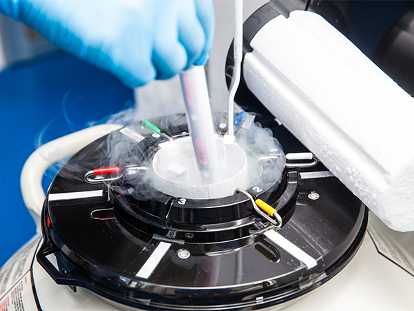 冻胚移植成功22天症状汇总，有这些反应胚胎状态才正常