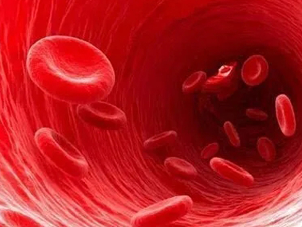 公共脐带血库入库储存标准详解：满足这些要求才算合格