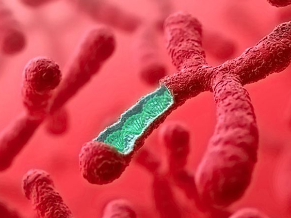 三代试管胚胎染色体异常的三种原因：环境污染成祸首